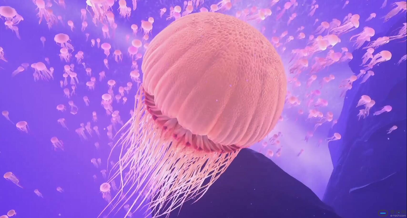 QQ截图20161010155948