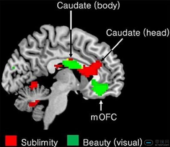 stranger-things-than-brain-on-vr-article-image-05