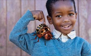 与Vive和HoloLens合作,致力于教育内容的Lifeliqe实力如何?