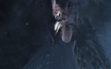 小米枪战、荒野行动、光荣使命怎么办?蓝洞将起诉20余款侵权吃鸡手游