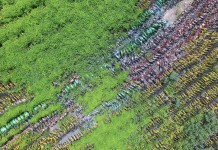 共享单车押金不退自认倒霉?解恨:它们即将坐上被告席