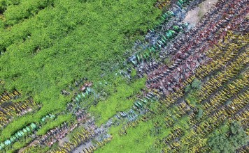 共享单车押金不退自认倒霉?解恨:它们即将坐上被告席